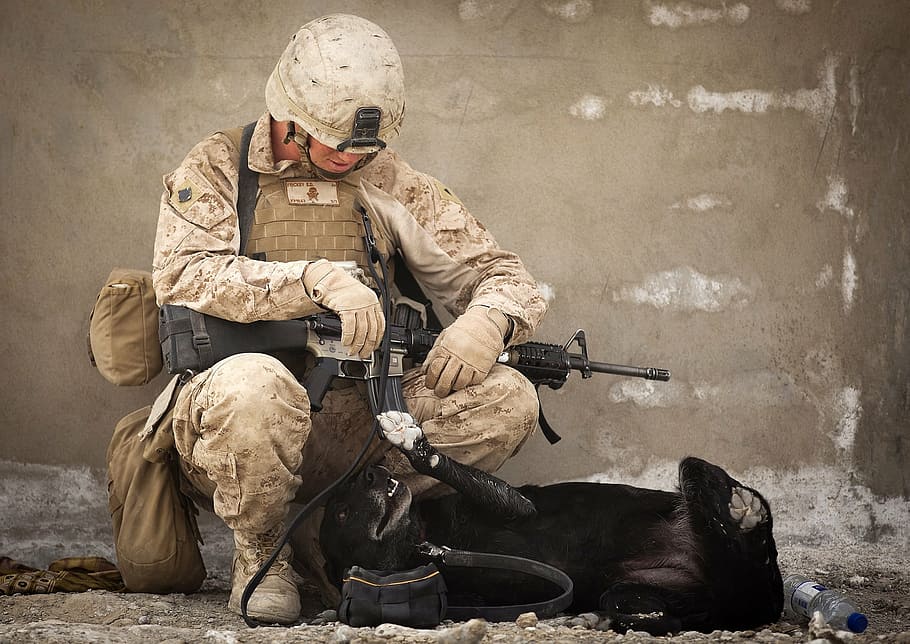 soldier siting near the dog lying on the floor, working dog, military, HD wallpaper