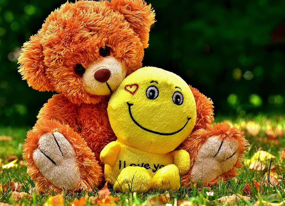 two plush toys on grass field, teddy, cute, smiley, love, soft toy, HD wallpaper