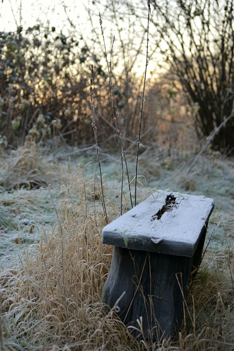 bench, cold, frost, silence, winter, no people, lake, outdoors HD wallpaper