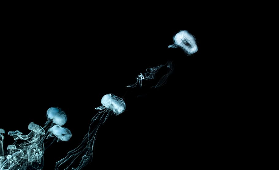 white jellyfishes, Smoke, Rings, Fog, Abstract, Structure, creativity
