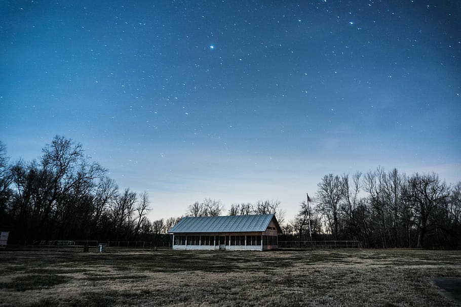 gray shed under starry sky, gray and white house surrounded by trees during nighttime HD wallpaper
