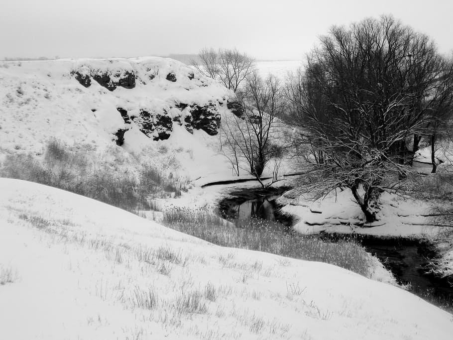 winter, river, snow, landscape, nature, cold, trees, branch HD wallpaper