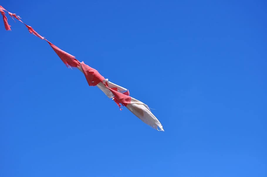 Sky, Blue, Blue Sky, Flag, Rip, Wind, forward, weather, one animal HD wallpaper