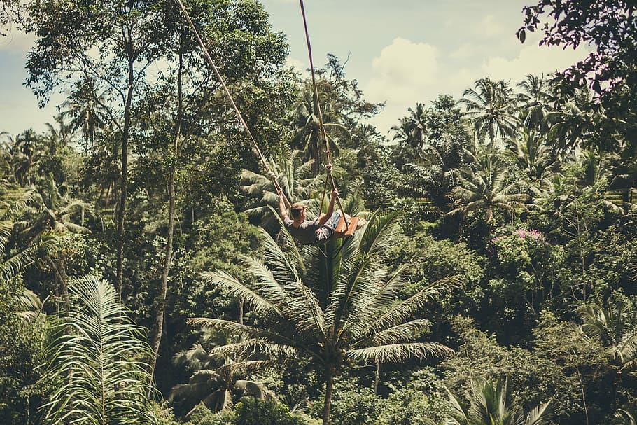 Young tourist man swinging on the cliff, EDITORIAL, person doing zip line HD wallpaper