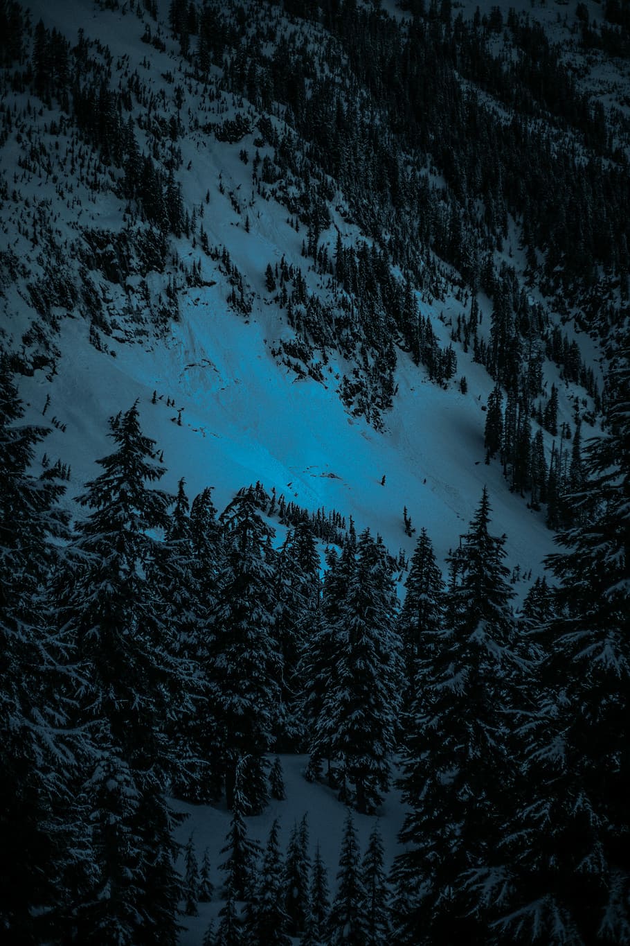 snow-covered mountain with trees, snow covered mountain with trees HD wallpaper