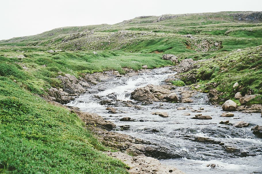 water, stream, rocks, grass, fields, hills, green, river, beauty in nature HD wallpaper