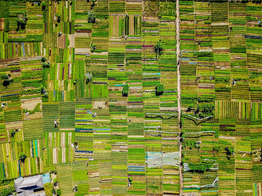 green book lot, untitled, fields, lines, pattern, aerial view HD wallpaper