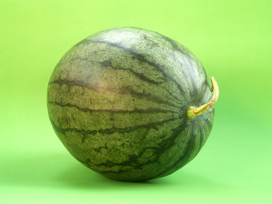 green watermelon, slice, isolated, seeded, delicious, tropical HD wallpaper
