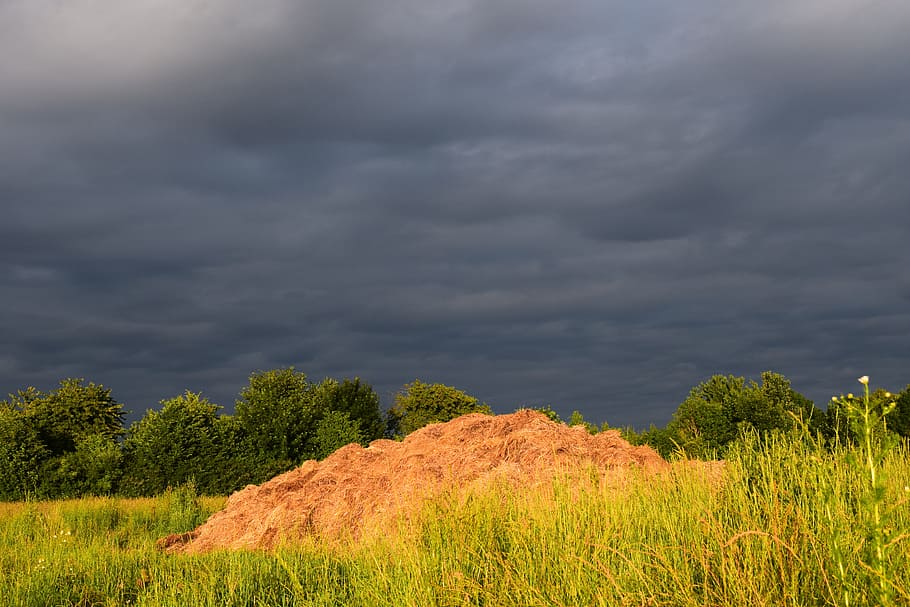 Dung, Atmosphere, sky, cloudiness, clouds, dark sky, mood, pasture, HD wallpaper