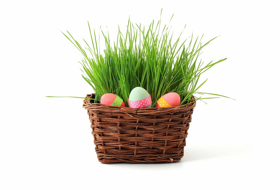 easter eggs on brown wicker basket, celebration, decoration, grass
