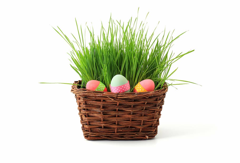 basket, colorful, colourful, easter, eggs, grass, easter egg HD wallpaper