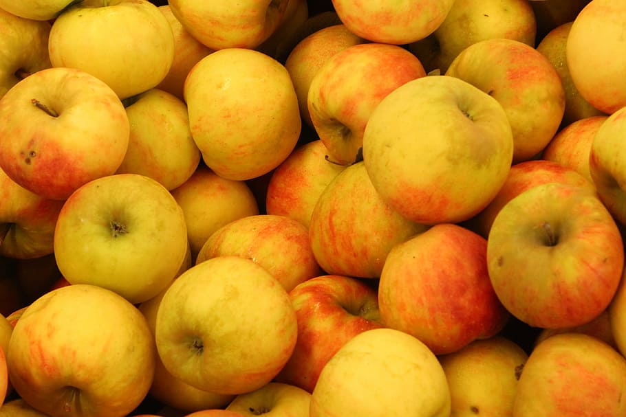 apples, red, red apple, fruit, food, nature, healthy, diet HD wallpaper