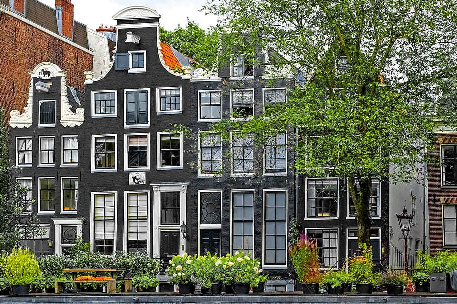 home, house, facade, brick, painted brick, dark, architecture HD wallpaper