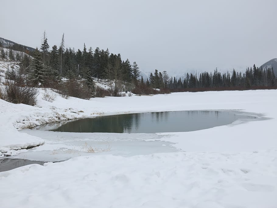 snow, ice, water, winter, frozen, icy, cold, cold temperature HD wallpaper