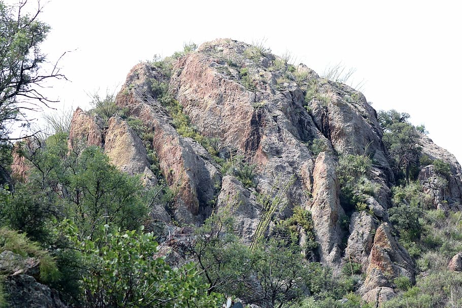 flora, high, hill, landscape, outdoors, park, rock, summer HD wallpaper