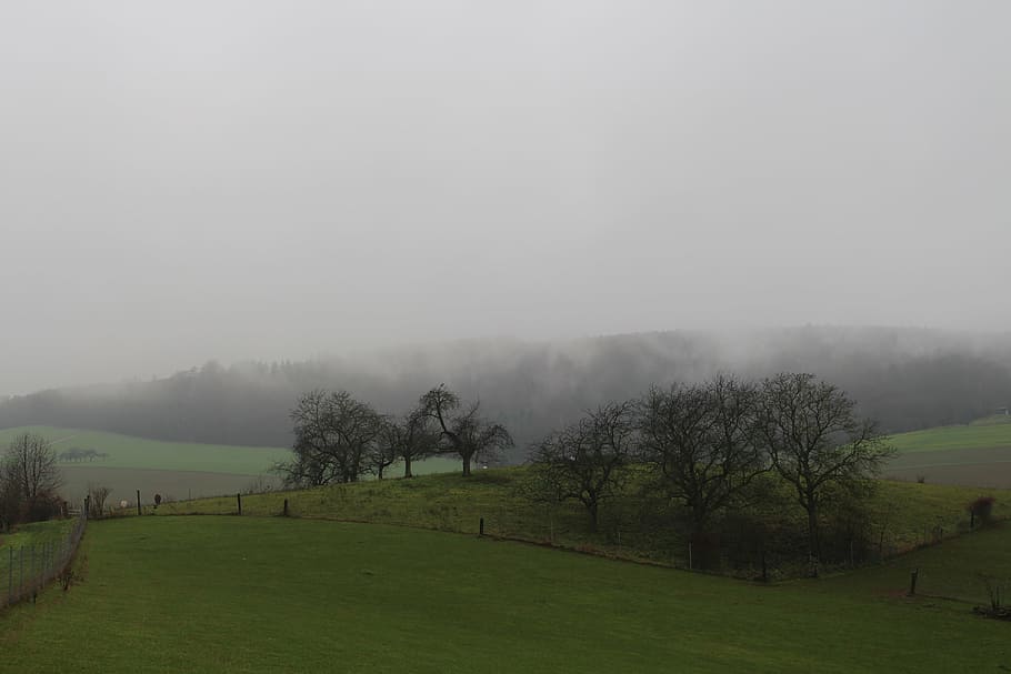 rain, landscape, nature, clouds, mood, storm, fog, weather HD wallpaper