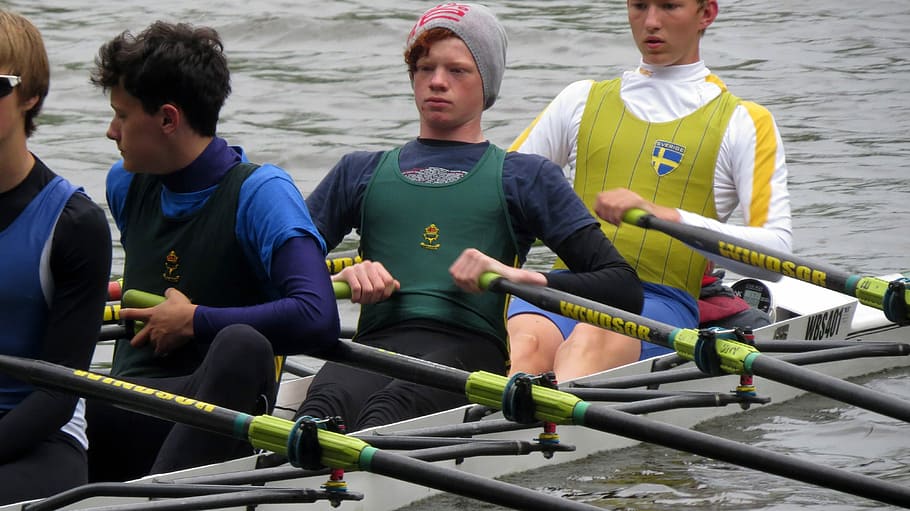 Boys in a team rowing, photo, guys, public domain, sport, teamwork, HD wallpaper