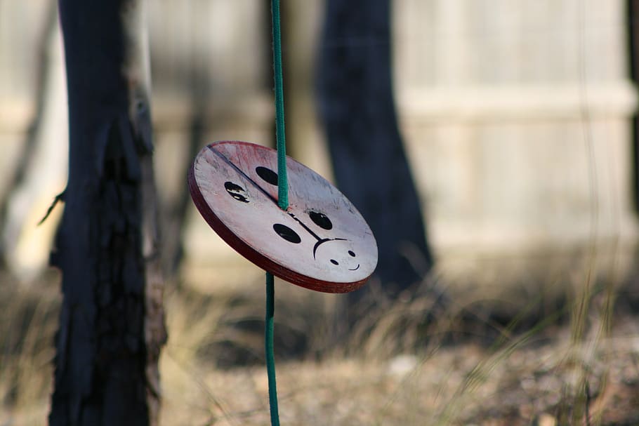 swing, playing yard, equipment, game, ladybird, ladybug, day HD wallpaper