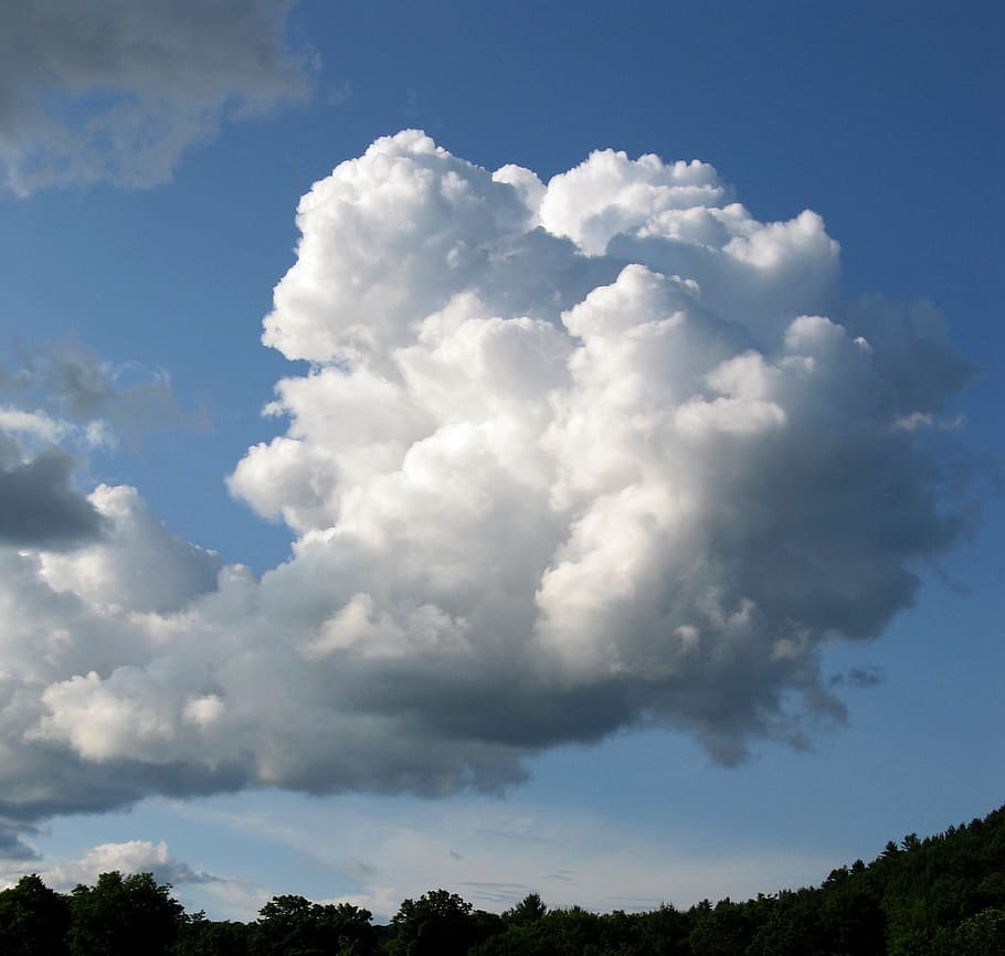 HD wallpaper: Cloud, Puffy, Sky, Blue, Weather, Heaven, cloudscape ...