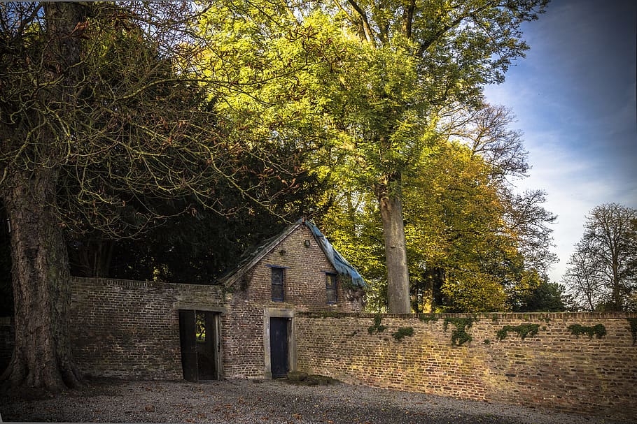 house, field, rustic house, tree, architecture, built structure HD wallpaper