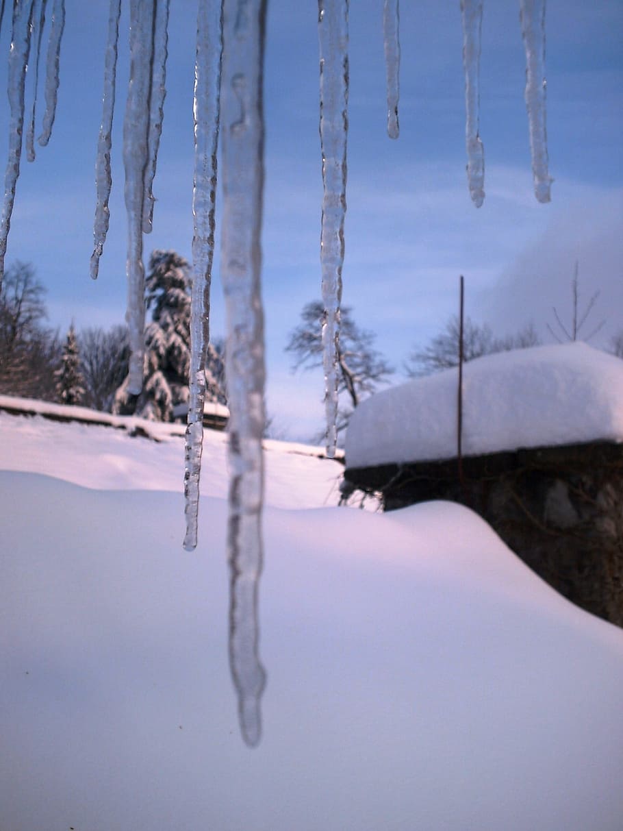 icicle, snowshed, blue sky, cold temperature, winter, tree HD wallpaper