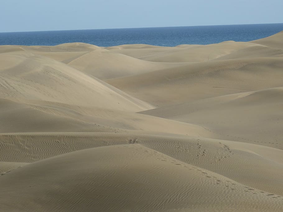 desert near sea during daytime, beach, dunes, wave, nature HD wallpaper