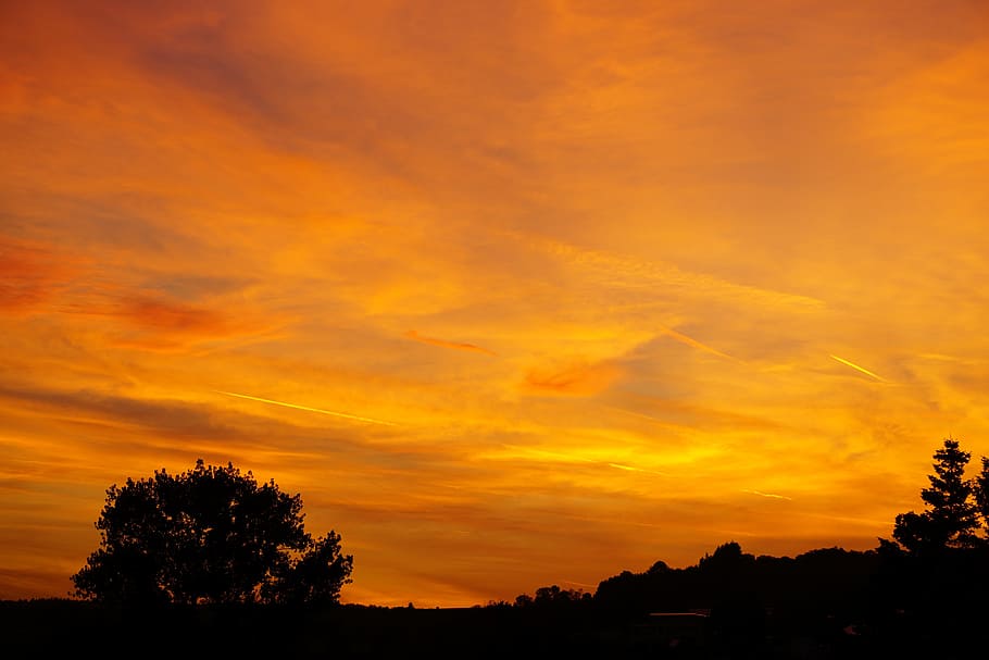 abendstimmung, sunset, evening sky, tree, silhouette, cloud - sky HD wallpaper