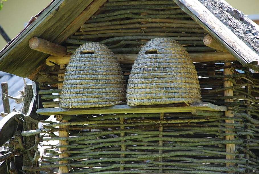 hive, honey bee, bee keeping, food and drink, no people, wood - material HD wallpaper