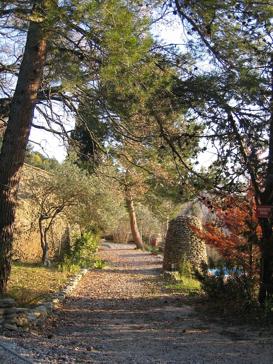 Path, Rural, Landscape, Field, tree, the way forward, outdoors HD wallpaper