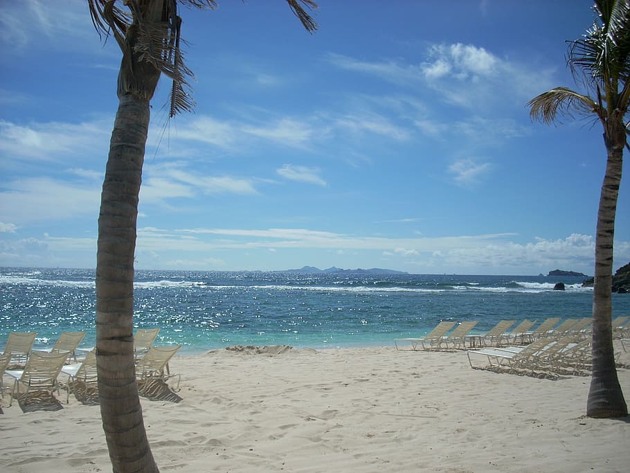 loungers facing sea, st maarten, beach, palm trees, ocean, lounge chairs