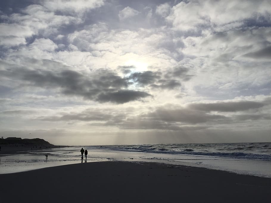 sylt, back light, winter, sun, nature, landscape, coast, northern germany HD wallpaper