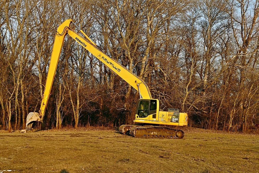 excavator, machine, technique, forest, trees, nature, plant HD wallpaper