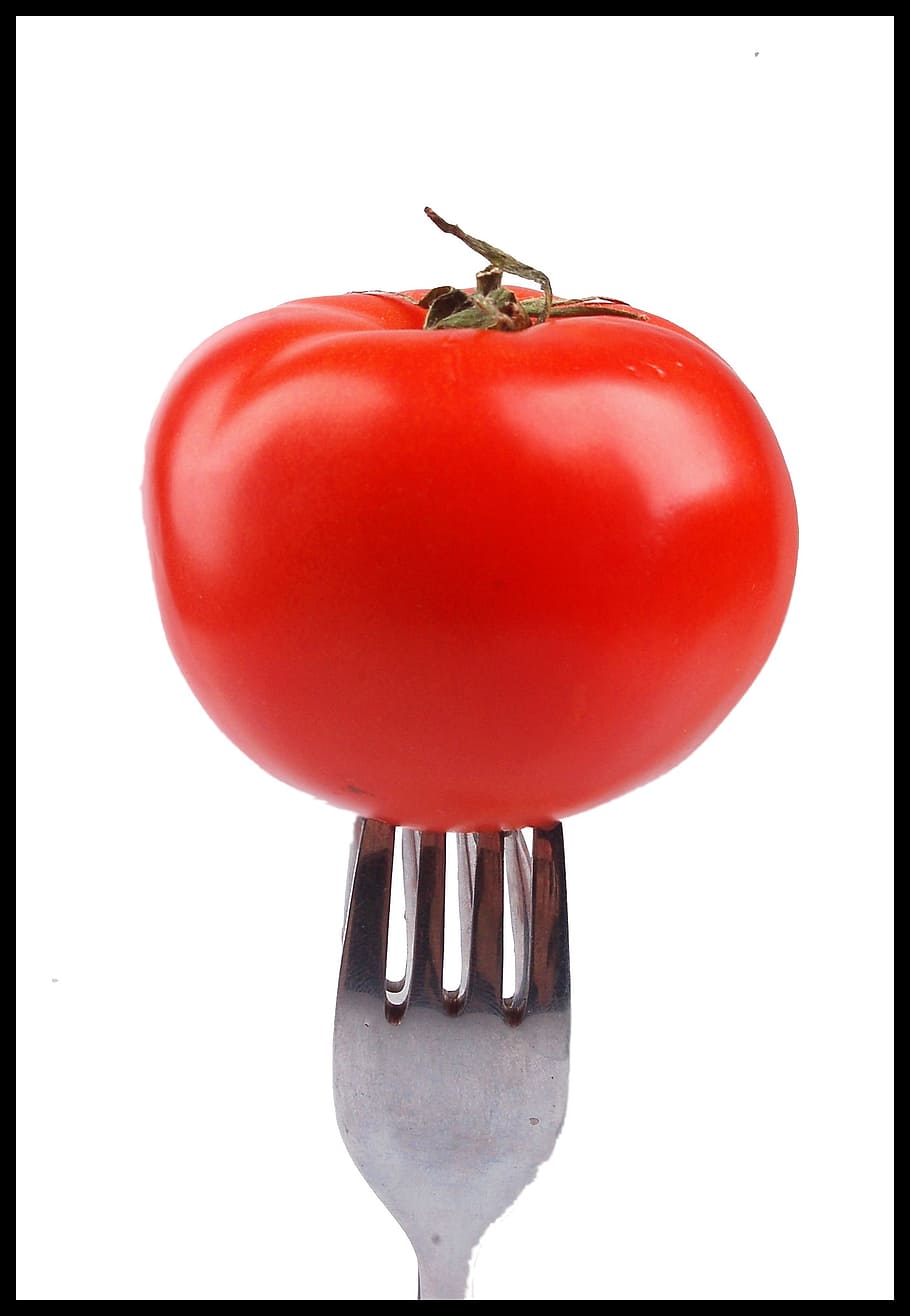 tomato, fork, tomato red, cutlery, eating, food and drink, studio shot HD wallpaper