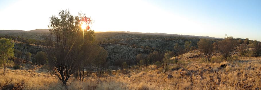 alice springs, nt, australia, outback, panorama, northern territory, HD wallpaper