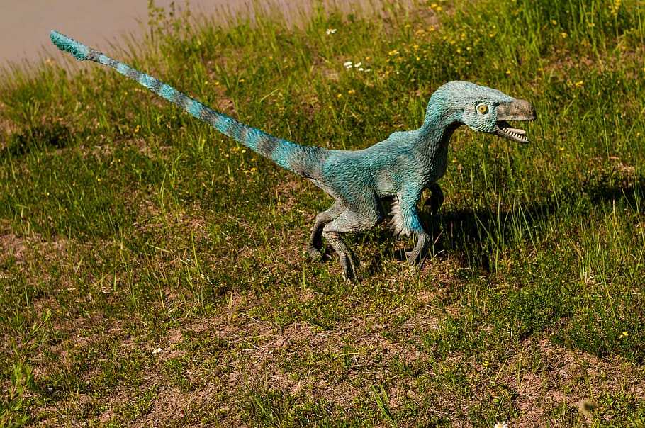 teal dinosaur toy on green grass, gad, mammal, extinct, model