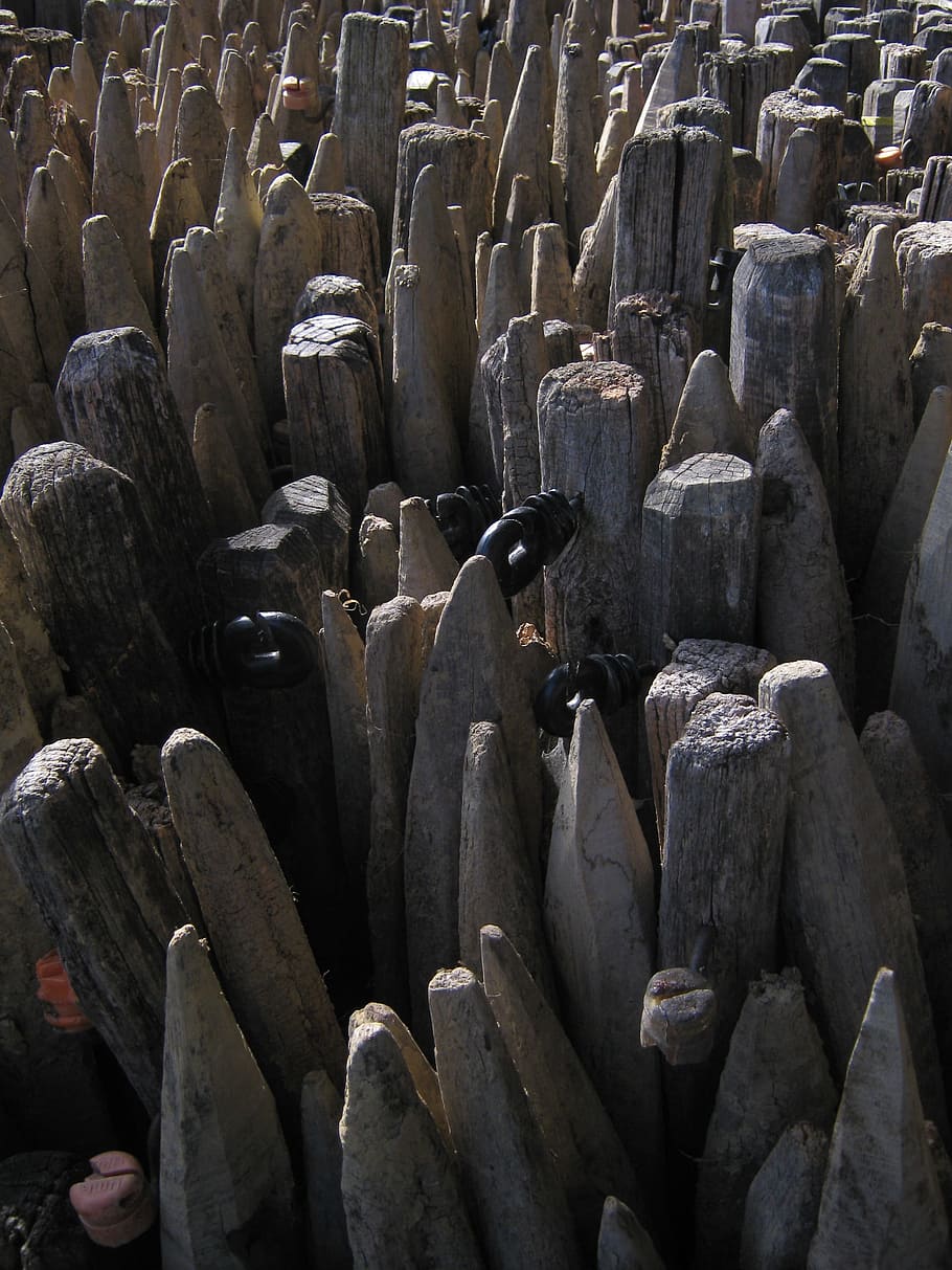 background, piles, wood, pointed, peg, bar, mast, bollard, strut HD wallpaper