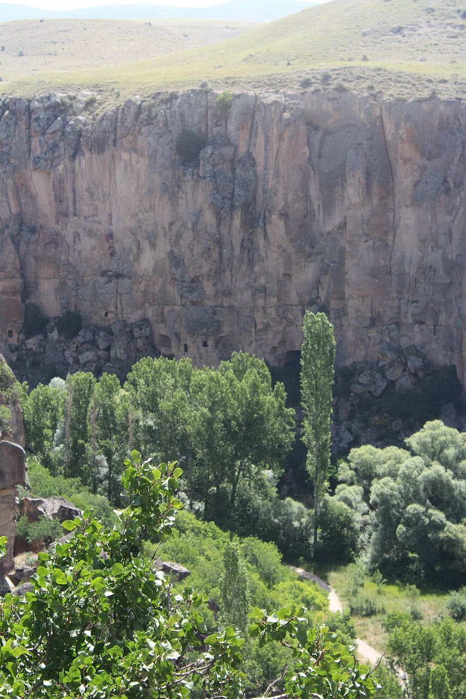 ihlaravalley, cappadocia, tree, solar, rock, plant, beauty in nature HD wallpaper