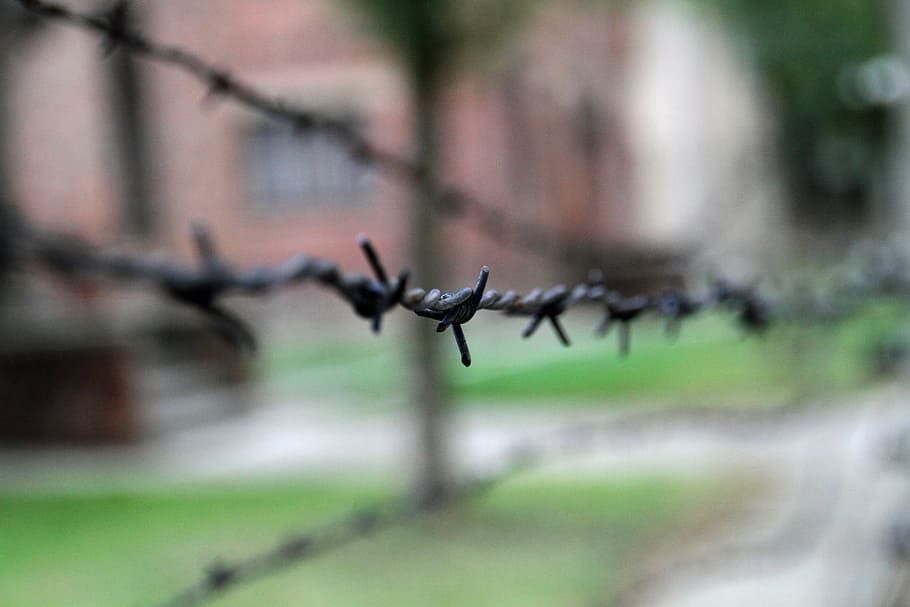 selective focus photography of black barbed wire, auschwitz HD wallpaper