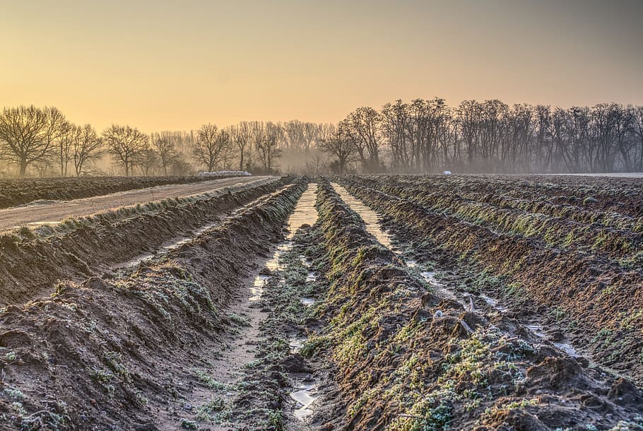 sunrise, light, mood, winter, morning, cold, frosty, icy, agriculture HD wallpaper