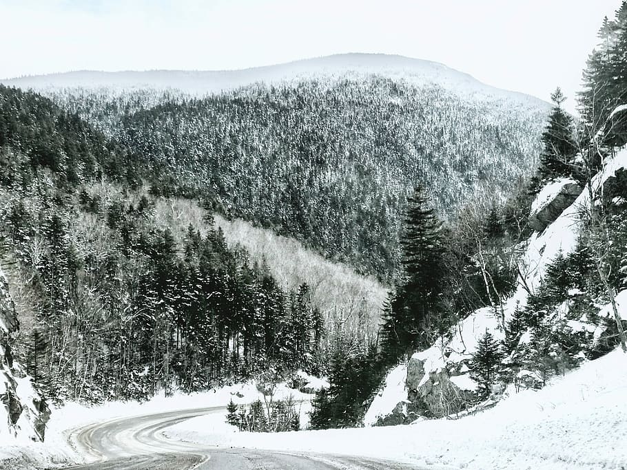 landscape photography of pine trees, road near trees and mountain during snow HD wallpaper