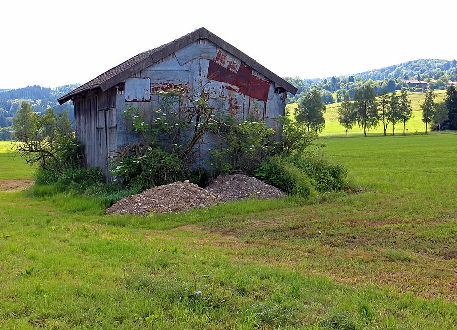 field, barn, hut, meadow, nature, field barn, old, rural Scene HD wallpaper