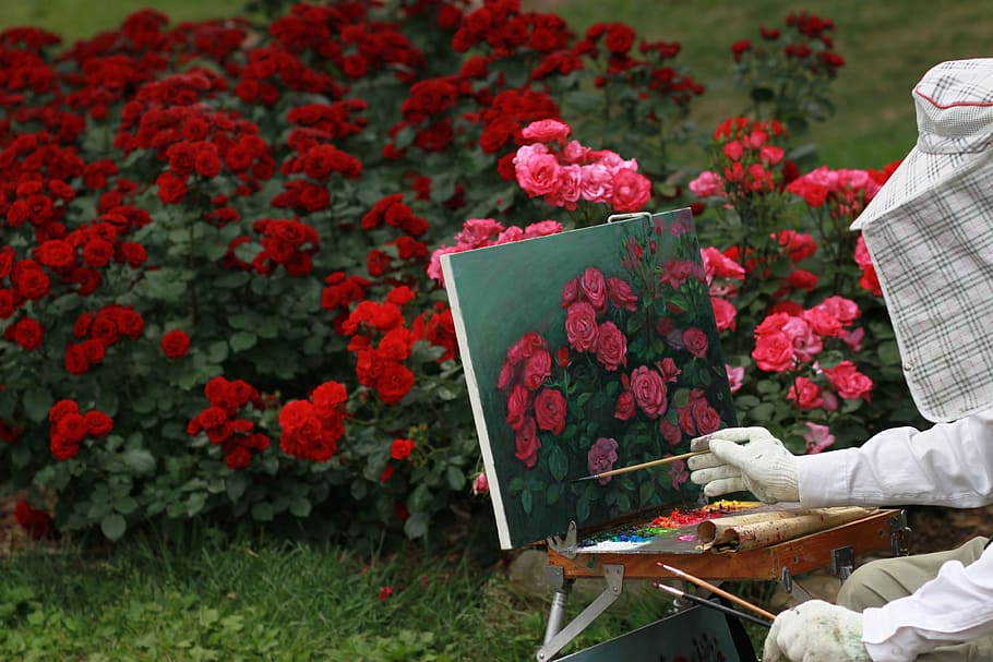 pink and red roses painting, flowers, rose garden, nature, tabitha, HD wallpaper