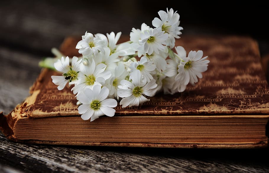 yellow petaled flowers on brown bounded book, white, brown book