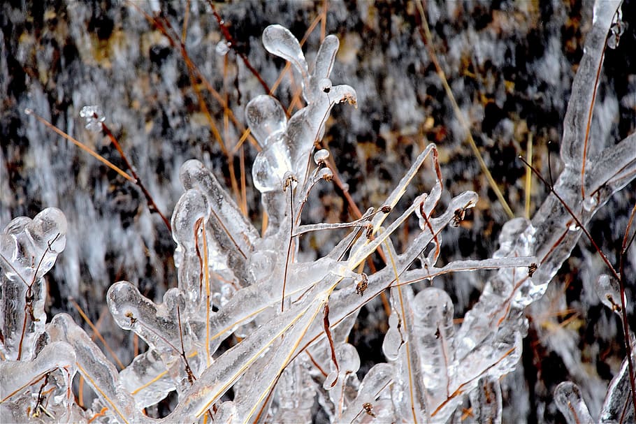 Ice, Crystals, Winter, Cold, Frost, Snow, blue, texture, nature HD wallpaper
