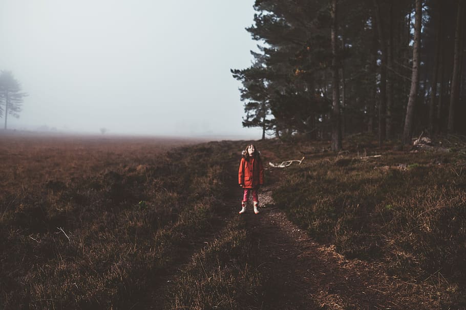person standing outdoor near trees, path, trail, fog, child HD wallpaper