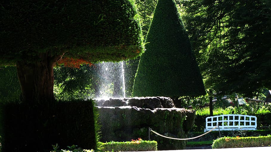 würzburg, residence, garden, fountain, light, green, rest, HD wallpaper