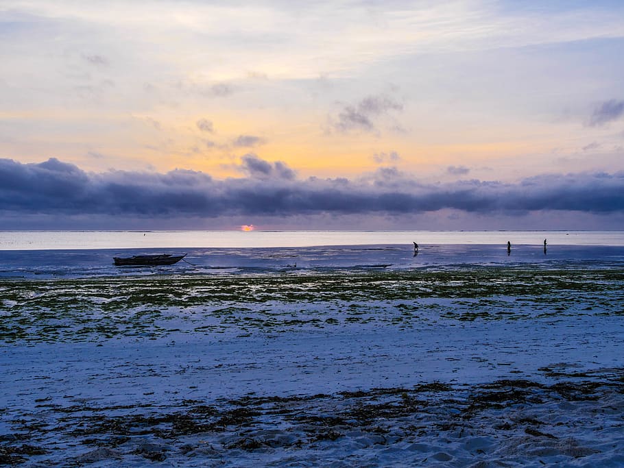 shell seekers, breakfast, sunrise, nature, sky, sea, indian ocean, HD wallpaper