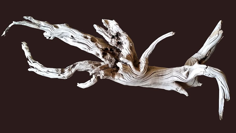 gray driftwood in a dark area, shape, texture, studio shot HD wallpaper