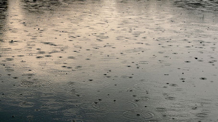 rgen, background image, texture, close, drip, raindrop, spray HD wallpaper