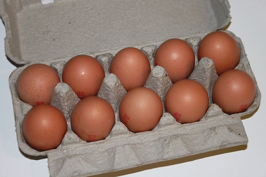 brown, cartons, eggs, hens, paper, white, food, drink, food and drink HD wallpaper